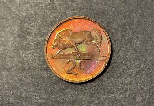1984 RSA proof 2c (2 cent) coin - Excellent toned