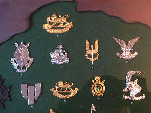 Rare Regimental Badges of the Rhodesian Army display - 20 badges - READ DISCRIPTION!