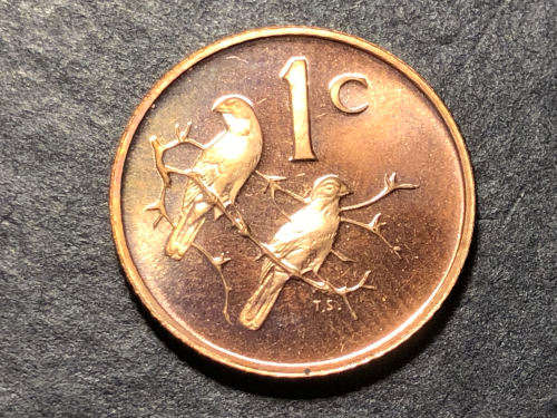 Brilliant Proof 1971 RSA 1 Cent coin