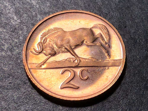 Brilliant Proof 1971 RSA 2 Cent coin
