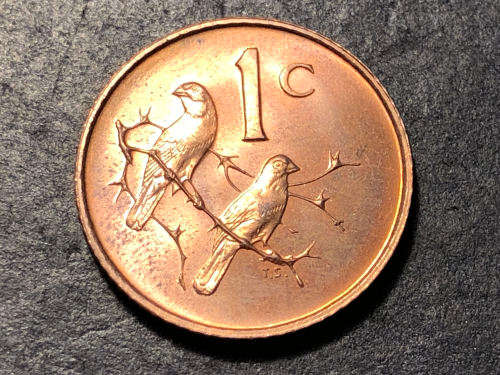 Brilliant Proof 1966 RSA 1 Cent coin