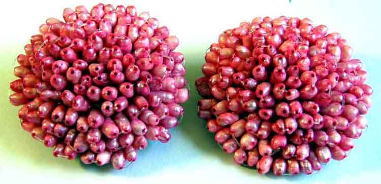 A pair of Pink Fresh Water Pearls -clip on Earrings.