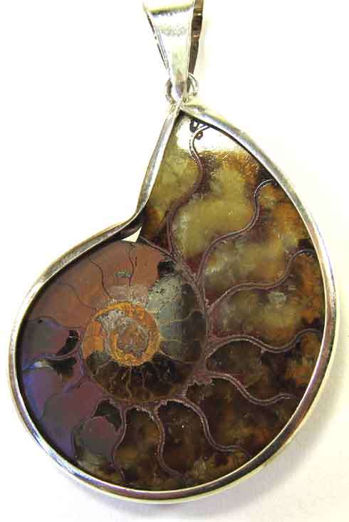 Sterling Silver and " Amonite "  Pendant