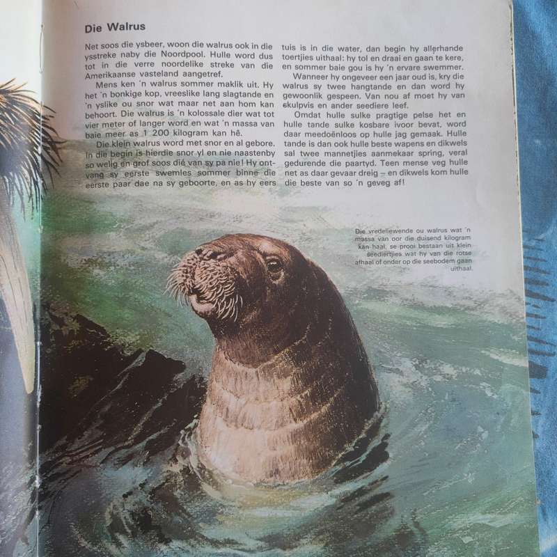 Babadiertjies van die Amerikas - Hardeband A3 grootte boek