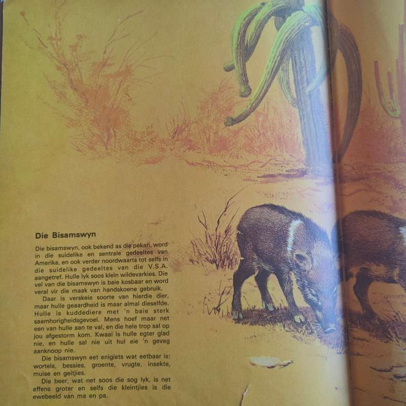 Babadiertjies van die Amerikas - Hardeband A3 grootte boek