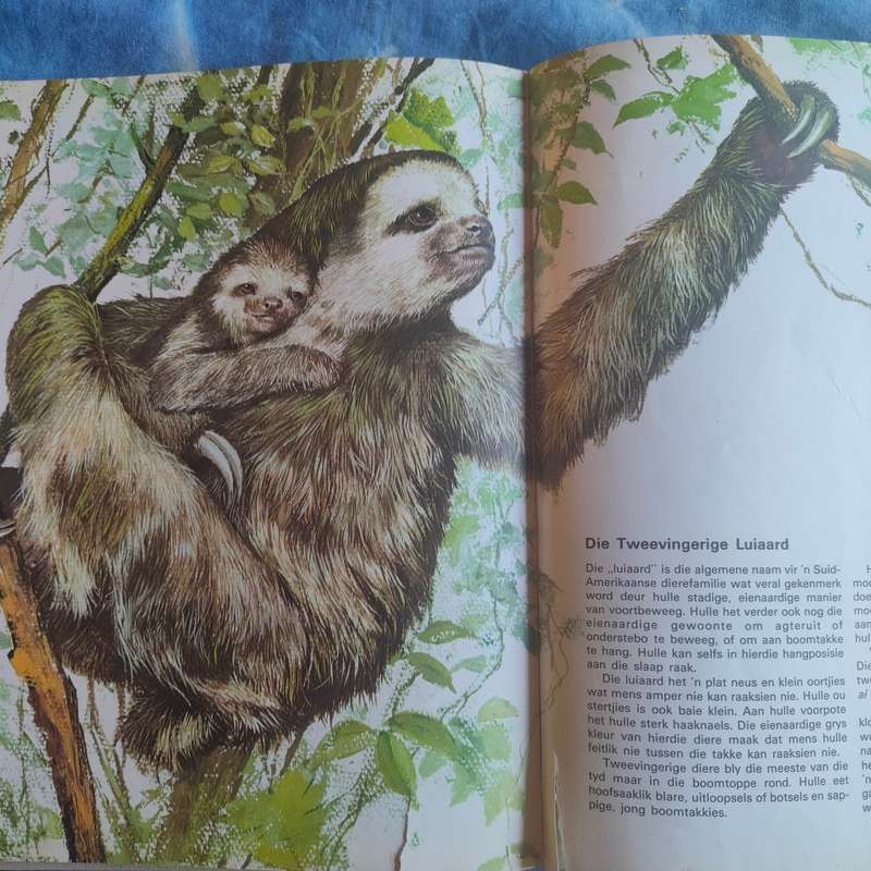 Babadiertjies van die Amerikas - Hardeband A3 grootte boek