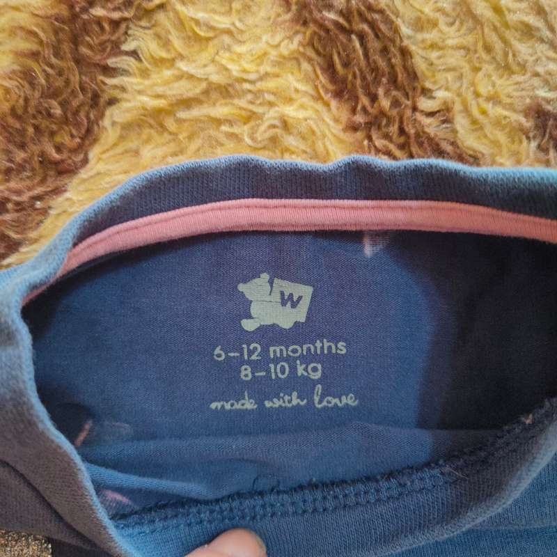 Baby girl 6-12 months long sleeve top and short