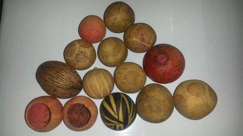 14 FOURTEEN painted vintage or antique dried small gourd figures