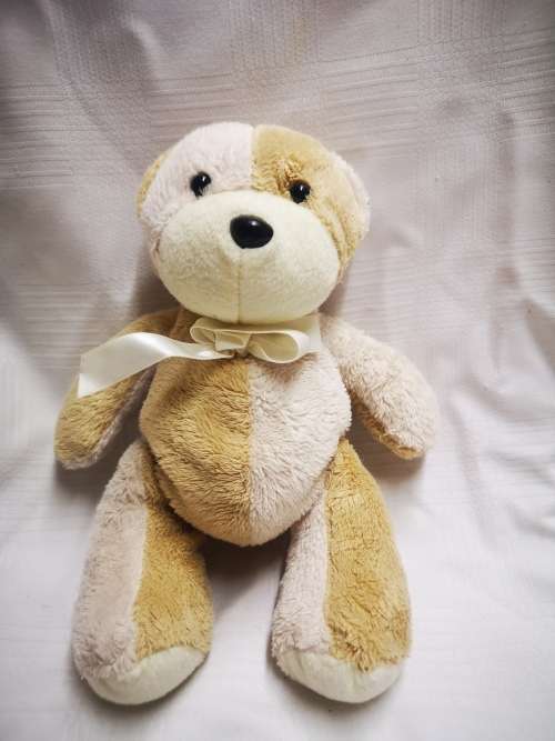 Cute little bear on auction from only R1