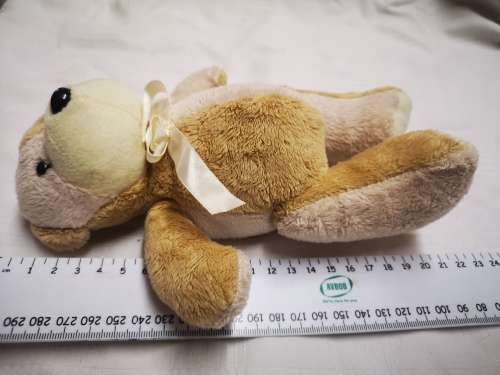 Cute little bear on auction from only R1