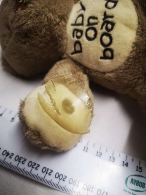 Baby on board bear
