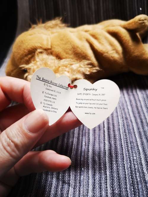 Lovely TY Beanie baby - with very unusual error!