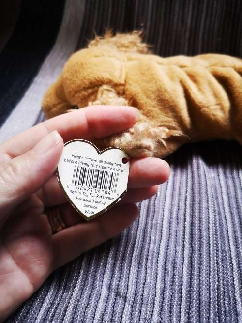 Lovely TY Beanie baby - with very unusual error!
