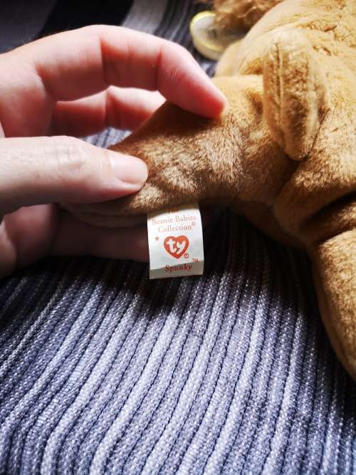 Lovely TY Beanie baby - with very unusual error!