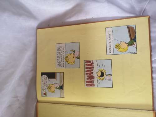Charlie Brown's 'cyclopedia volume 3