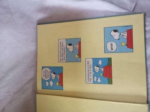 Charlie Brown's 'cyclopedia volume 12