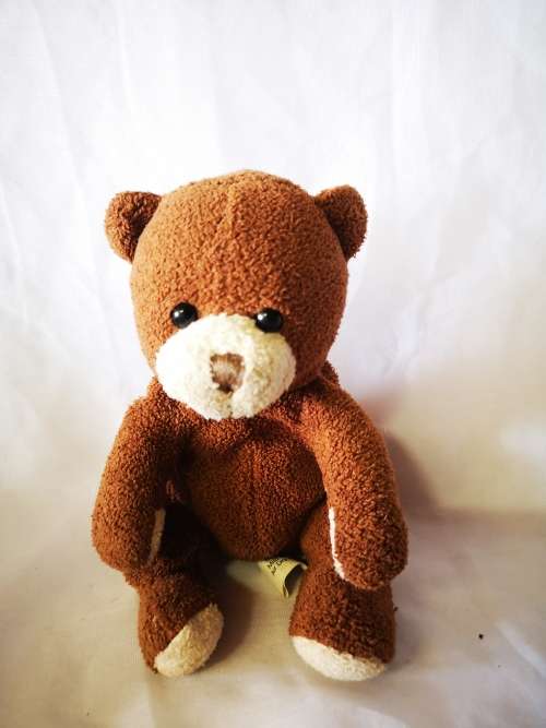 Adorable little Prima Toys brown bear on offer