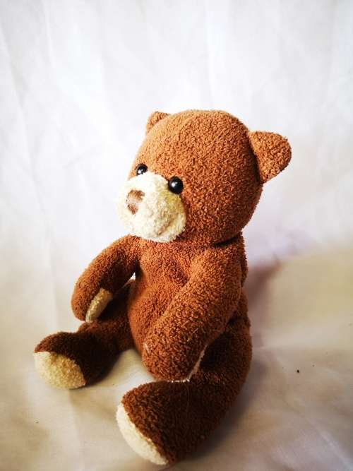 Adorable little Prima Toys brown bear on offer
