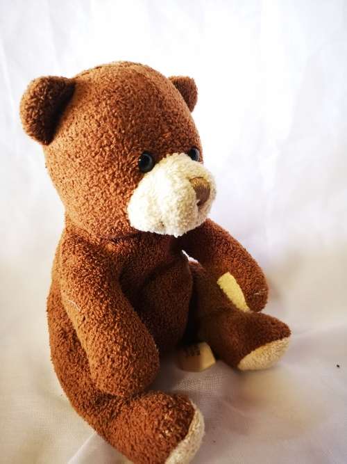 Adorable little Prima Toys brown bear on offer