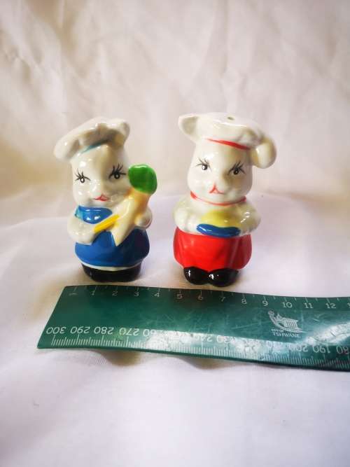 Cutest pair of salt and pepper shakers