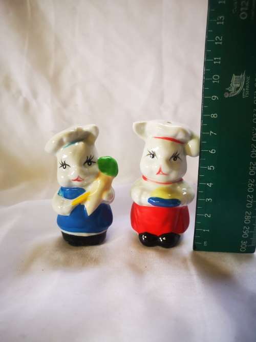 Cutest pair of salt and pepper shakers