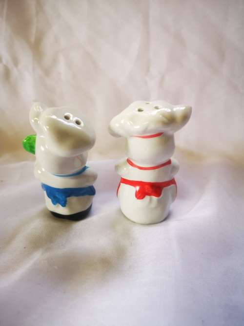Cutest pair of salt and pepper shakers