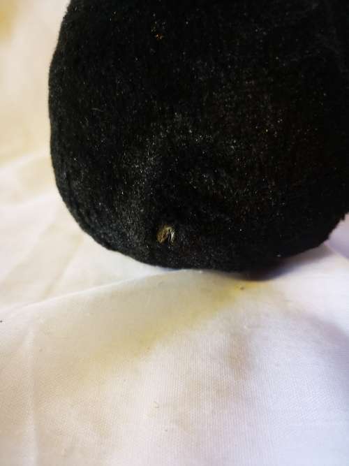 Small angry birds plush toy