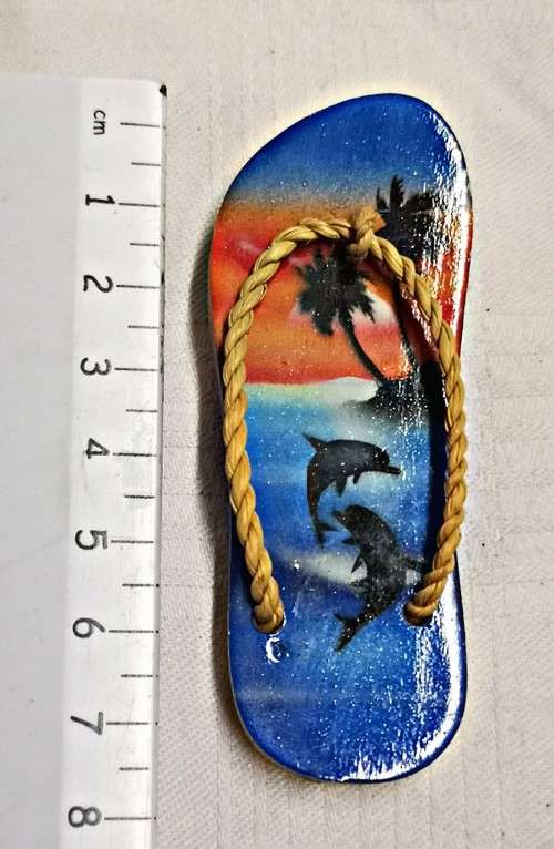 Souvenir fridge magnet - flip flop dolphins