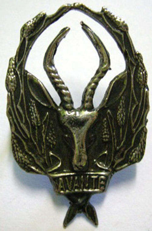5 SAI Cap Badge Voided Type Dinnes 60