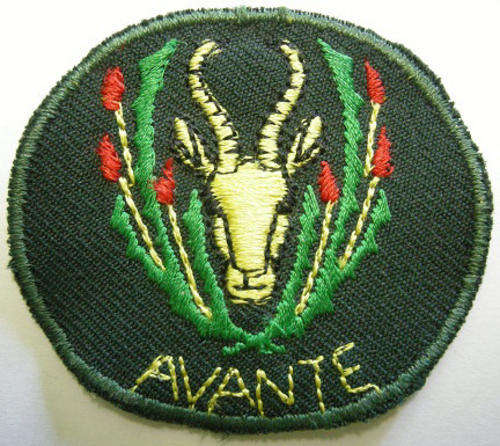 5 SAI Beret Badge Embroidered on Material Dinnes 1608