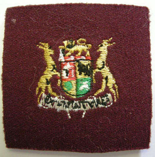 Medic Sergeant Major Class I Rank Badge Embroidered on Felt w/ Velcro Backing Dinnes 2151