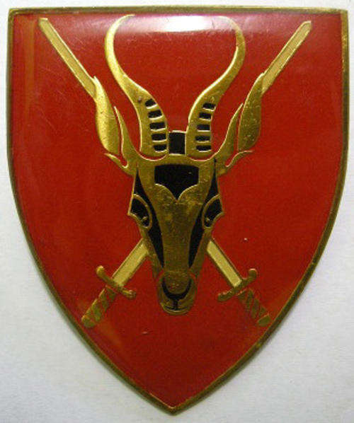 SA Army HQ Unit Shoulder Flash Only Two Pins Dinnes 4304