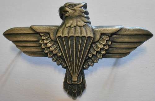 44 Parachute Brigade Grey Metal Beter Badge Dinnes 303