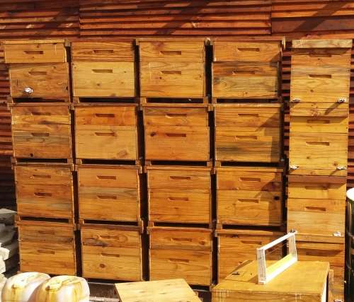 Bee ready bee hive