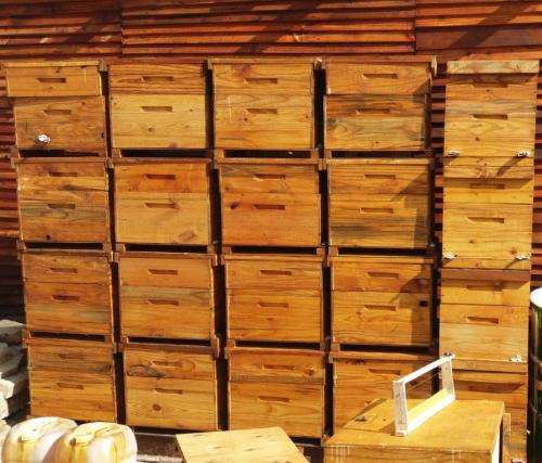 Bee Hive  Ready for the bees