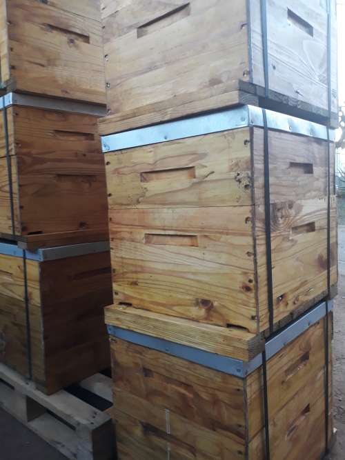 Bee hives