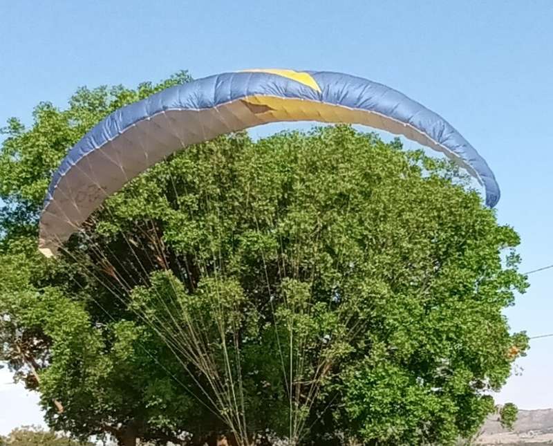 `XIX Top`  Paraglider