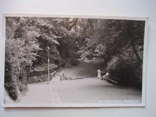 VINTAGE POSTCARD CHINE HOLLOW SHANKLIN