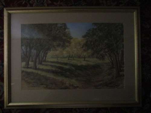 AVENUE OF TREES - WATER COLOURS-  M.J. CONNACHER