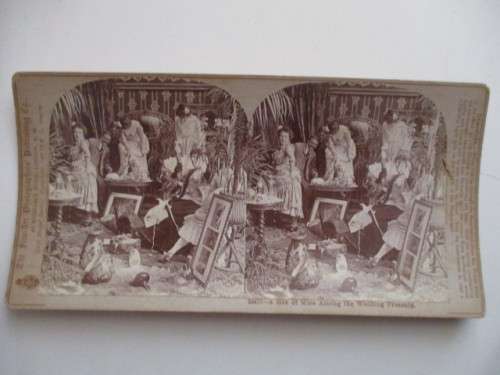 VICTORIAN - STEREOSCOPE CARD - A BOX OF MICE AMONG THE .....  1901