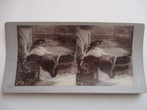 VICTORIAN - STEREOSCOPE CARD -  1800`S