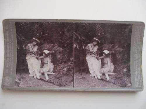 VICTORIAN - STEREOSCOPE CARD - 1800`S