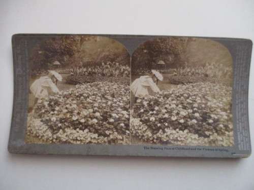 VICTORIAN - STEREOSCOPE CARD - THE BEAMING FACE OF... 1800`S