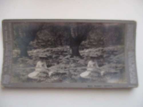 VICTORIAN - STEREOSCOPE CARD - MIDST AUTUMN.... 1800`S