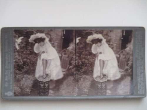 VICTORIAN - STEREOSCOPE CARD -  1800`S