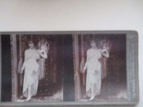 VICTORIAN - STEREOSCOPE CARD -  1800`S