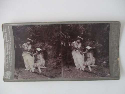VICTORIAN - STEREOSCOPE CARD -  1800`S