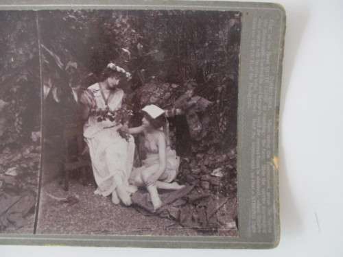 VICTORIAN - STEREOSCOPE CARD -  1800`S