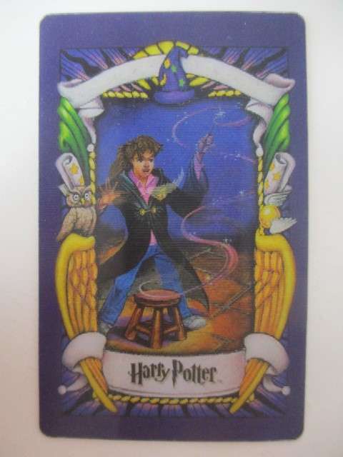 CHOCOLATE FROG 3D HOLOGRAPHIC - HARRY POTTER TRADING CARD -  HERMIONE GRANGER - WARNER BROTHERS