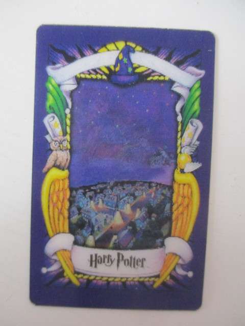 CHOCOLATE FROG 3D HOLOGRAPHIC HARRY POTTER TRADING CARD - RUBEUS HAGRID - WARNER BROTHERS 2001